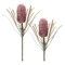 Melrose Artificial Protea Floral Stem Spray - 28.75" - Pink - Set of 6